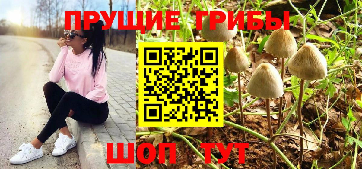 как найти   Псилоцибиновые грибы Magic Shrooms  Вход с VPN  Златоуст 